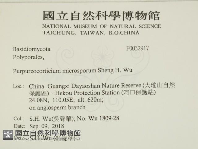 登錄號:F0032917藏品圖，第2張