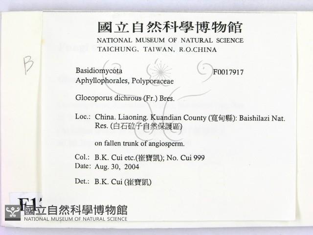 登錄號:F0017917藏品圖，第2張