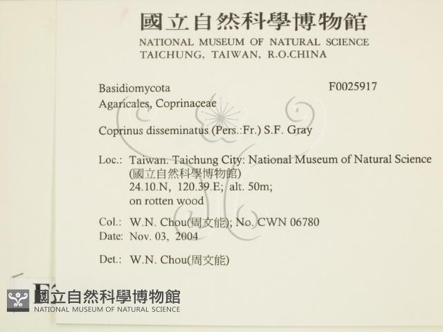 登錄號:F0025917藏品圖，第2張