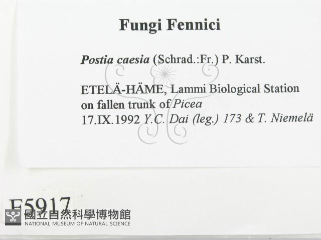 登錄號:F0005917藏品圖，第2張