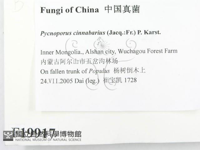 館號:F0019917藏品圖，第2張