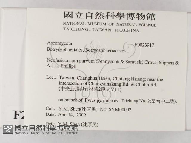 登錄號:F0023917藏品圖，第2張
