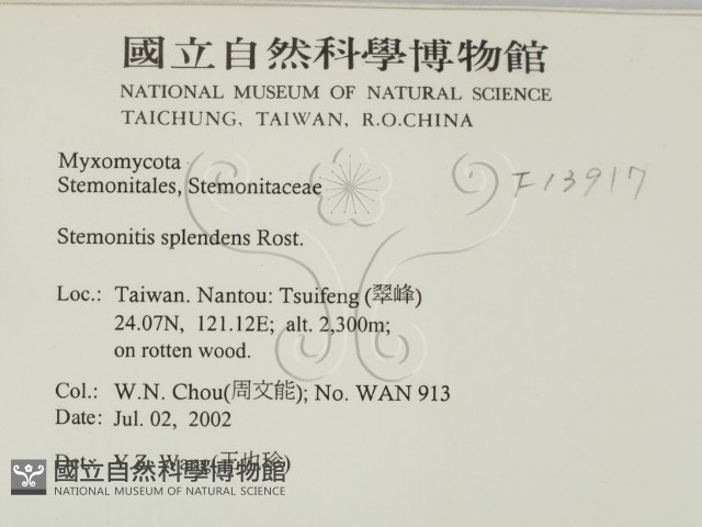 登錄號:F0013917藏品圖，第2張