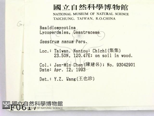 登錄號:F0000617藏品圖，第2張