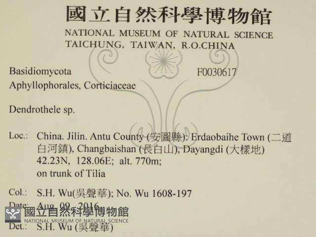 登錄號:F0030617藏品圖，第2張