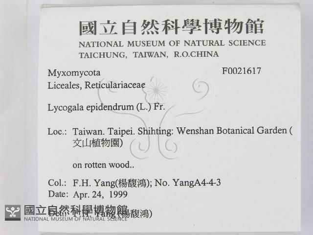 登錄號:F0021617藏品圖，第2張