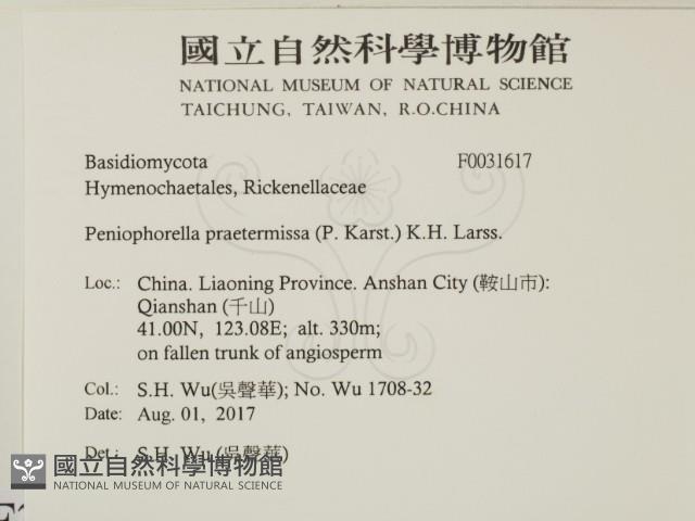 登錄號:F0031617藏品圖，第2張