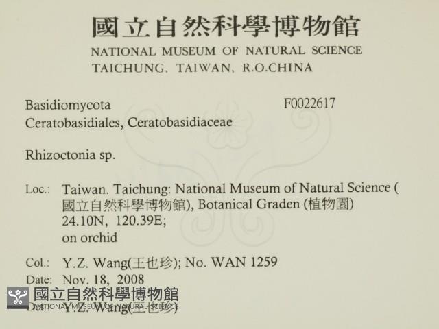 登錄號:F0022617藏品圖，第2張