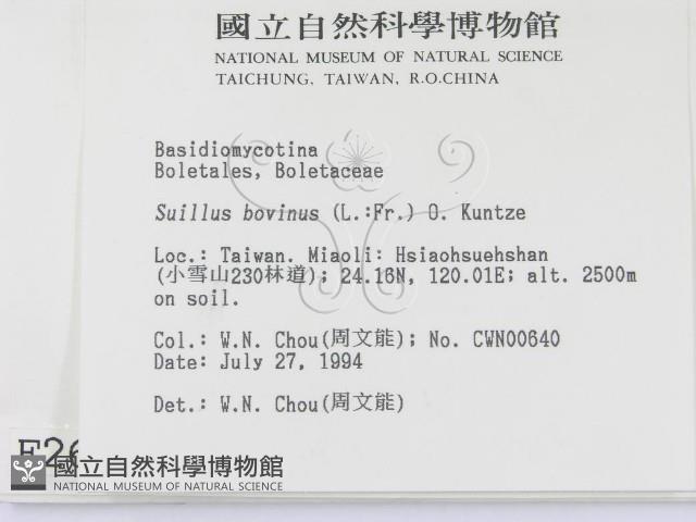 登錄號:F0002617藏品圖，第2張