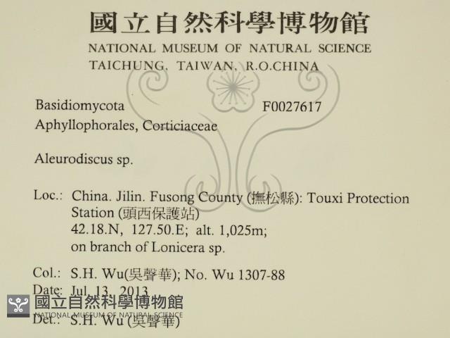 登錄號:F0027617藏品圖，第2張