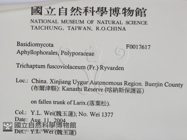 登錄號:F0017617藏品圖，第2張