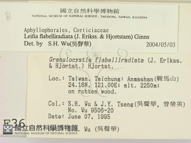 登錄號:F0003617藏品圖，第2張