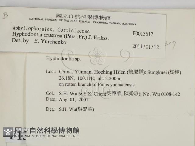 登錄號:F0013617藏品圖，第2張