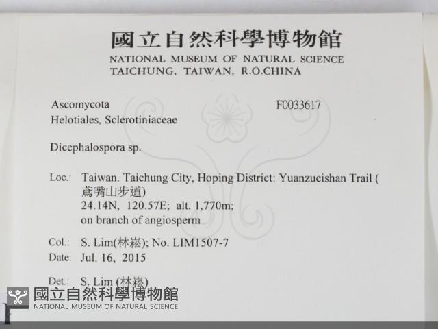 登錄號:F0033617藏品圖，第2張