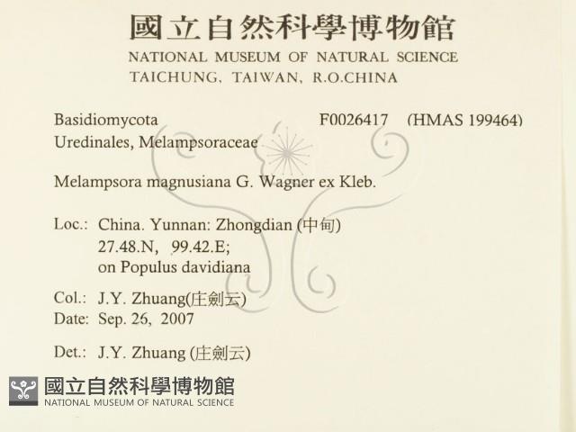 登錄號:F0026417藏品圖，第2張