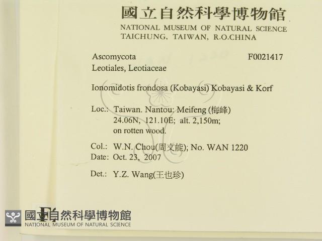 登錄號:F0021417藏品圖，第2張