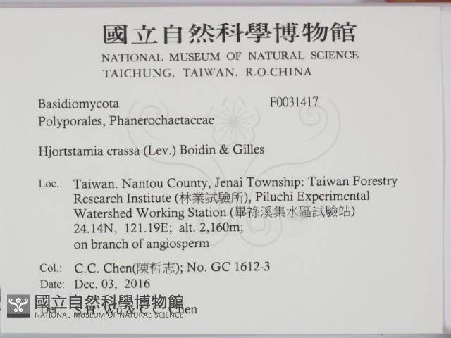 登錄號:F0031417藏品圖，第2張