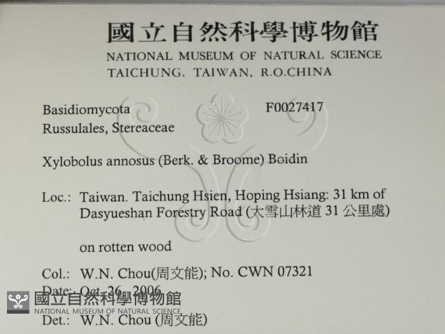 登錄號:F0027417藏品圖，第2張