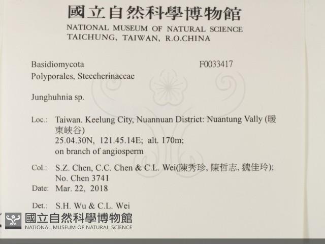 容氏菌屬藏品圖，第2張