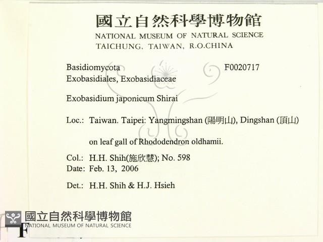 登錄號:F0020717藏品圖，第2張
