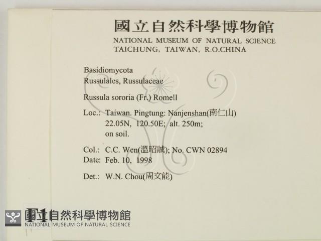 登錄號:F0010717藏品圖，第2張