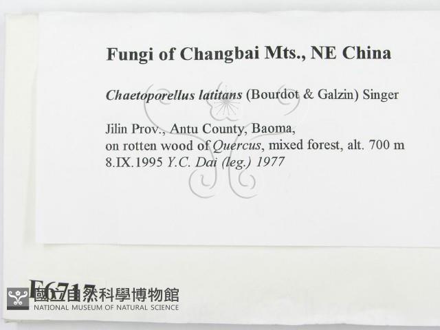 登錄號:F0006717藏品圖，第2張