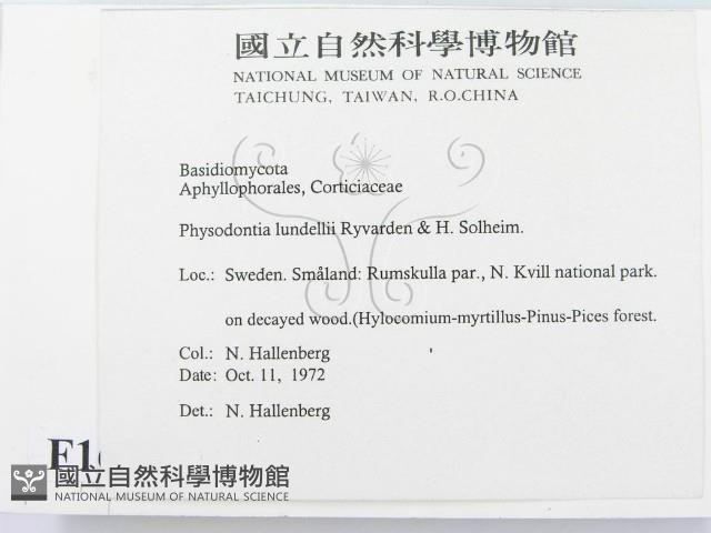 登錄號:F0016717藏品圖，第2張