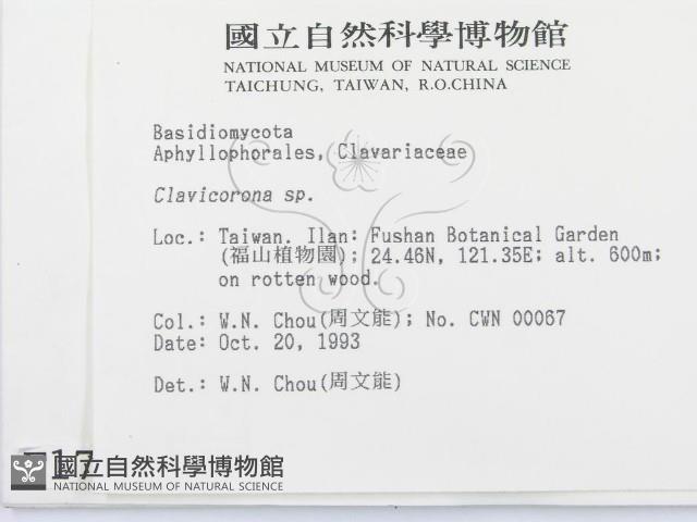 登錄號:F0001717藏品圖，第2張