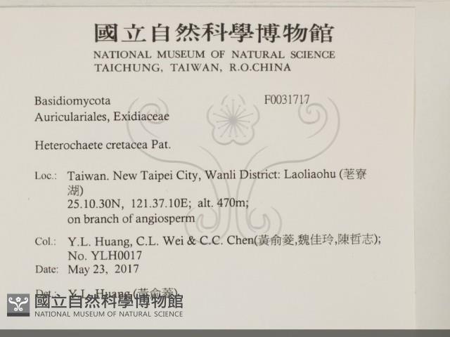 登錄號:F0031717藏品圖，第2張
