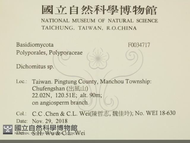 登錄號:F0034717藏品圖，第2張