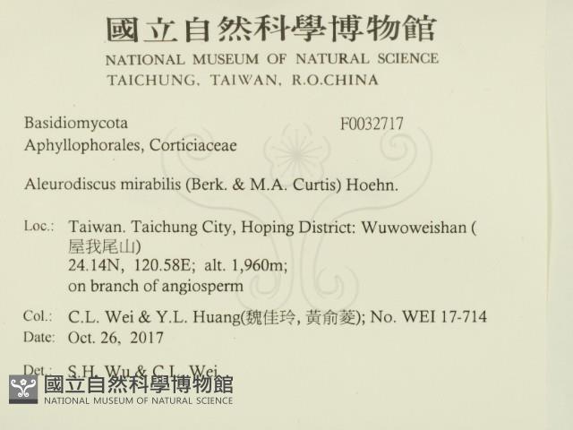 登錄號:F0032717藏品圖，第2張