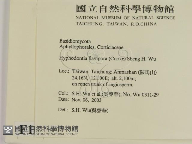 登錄號:F0015717藏品圖，第2張
