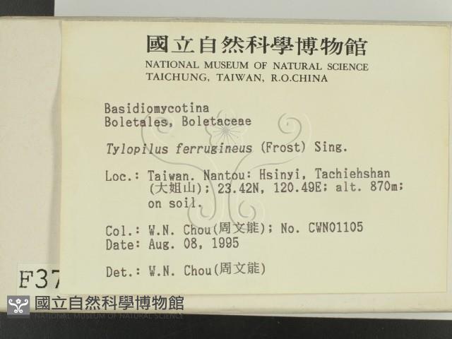 登錄號:F0003717藏品圖，第2張