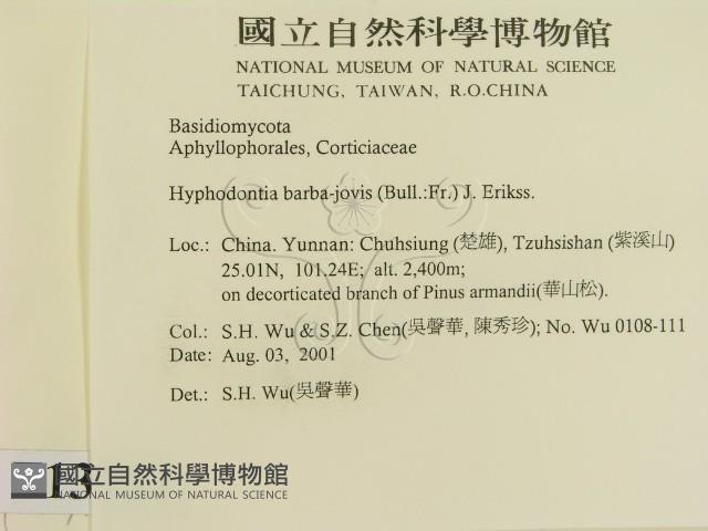 登錄號:F0013717藏品圖，第2張