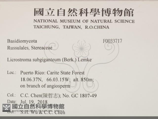 登錄號:F0033717藏品圖，第2張