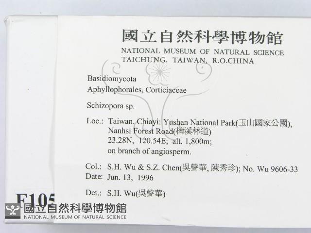 登錄號:F0010517藏品圖，第2張