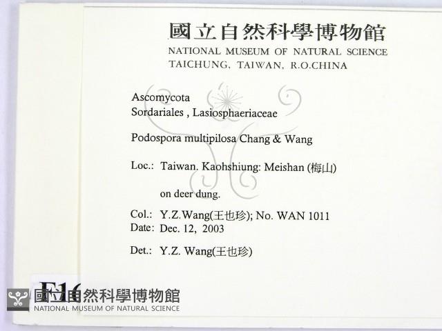 登錄號:F0016517藏品圖，第2張