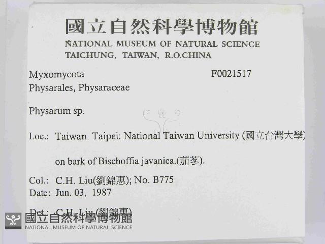 登錄號:F0021517藏品圖，第2張