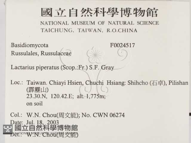 登錄號:F0024517藏品圖，第2張