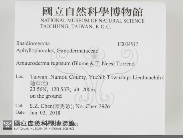 登錄號:F0034517藏品圖，第2張
