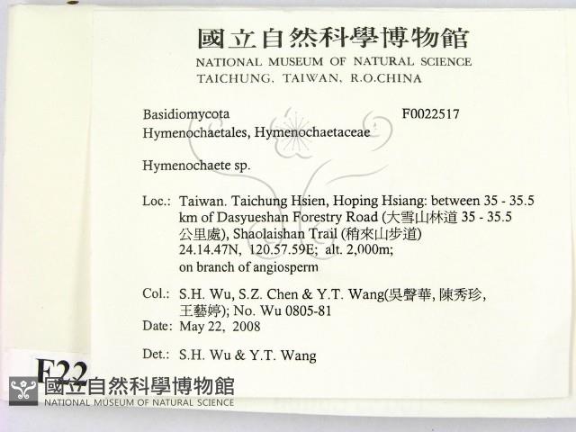 刺革菌屬藏品圖，第2張