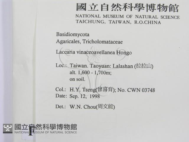 登錄號:F0012517藏品圖，第2張