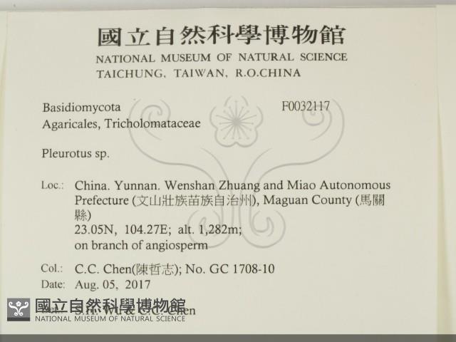 登錄號:F0032117藏品圖，第2張