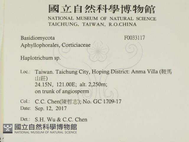 登錄號:F0033117藏品圖，第2張