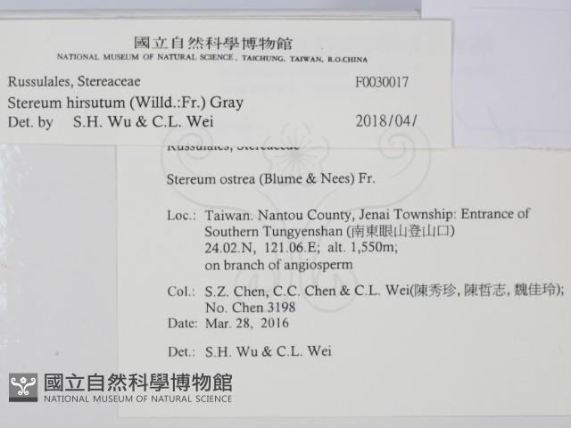 登錄號:F0030017藏品圖，第2張