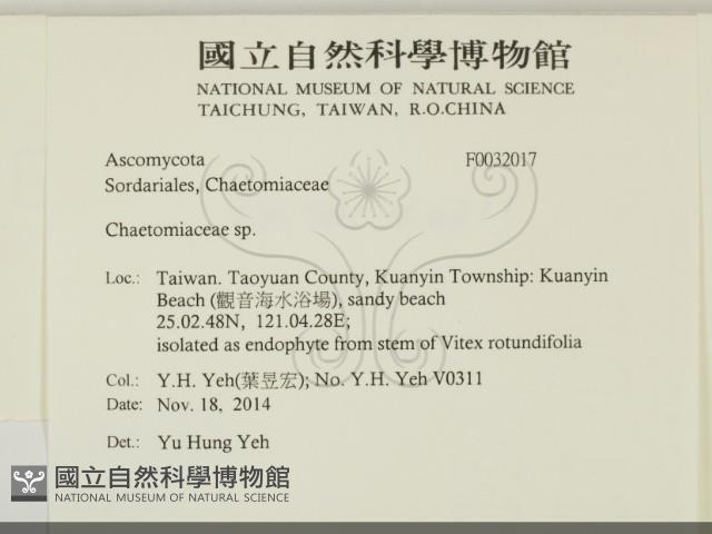 登錄號:F0032017藏品圖，第2張