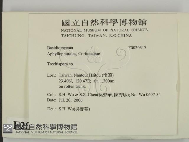 登錄號:F0020317藏品圖，第2張