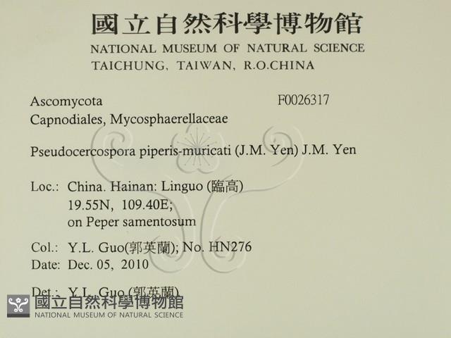 登錄號:F0026317藏品圖，第2張