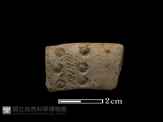 陶片藏品圖，第1張