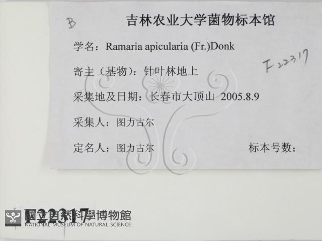登錄號:F0022317藏品圖，第2張